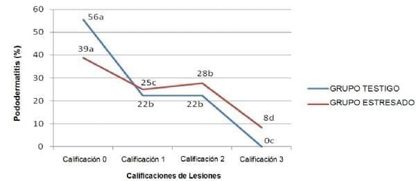 Incidencia de pododermatitis por contacto en pollos de engorde sometidos a estrés térmico - Image 1