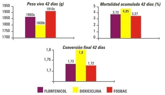 Eficacia de Fosbac contra una infección respiratoria de Escherichia Coli el pollos: un ensayo a campo - Image 2