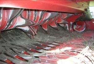 Hacia la tecnificación del heno de alta calidad - Image 3