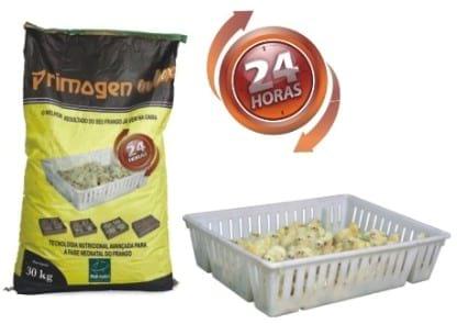 Nutrición del pollito inmediatamente después de la eclosión - Image 6