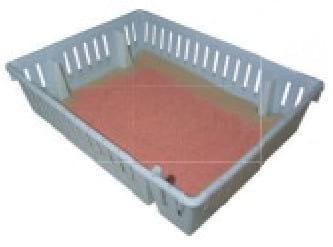 Nutrición del pollito inmediatamente después de la eclosión - Image 11