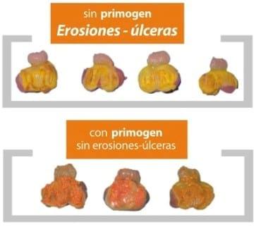Nutrición del pollito inmediatamente después de la eclosión - Image 5