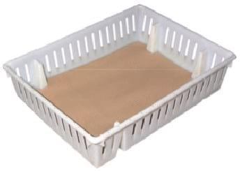 Nutrición del pollito inmediatamente después de la eclosión - Image 8