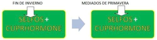 Preparación de rodeos para servicio - Image 4