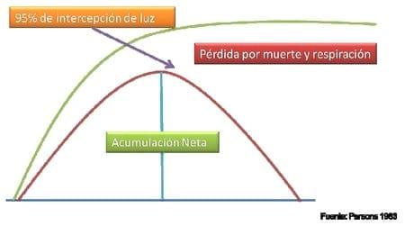 La henificación como herramienta para incrementar la eficiencia del uso de pasturas megatérmicas - Image 2