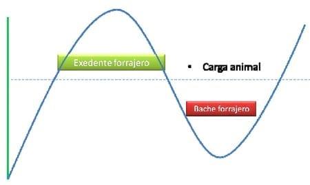 La henificación como herramienta para incrementar la eficiencia del uso de pasturas megatérmicas - Image 1