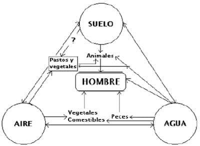 Grasas recicladas en la alimentación animal: Contaminación con Dioxinas y PCBs - Image 3