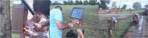 EXPERIENCIA CON PRV EN LA GANADERÍA EBENEZER PARA LA PRODUCCIÓN DE LECHE Y CARNE CON GANADO MESTIZO DE BIOTIPO CEBUÍNO EN EL MUNICIPIO DE MATURÍN, ESTADO MONAGAS, VENEZUELA - Image 16