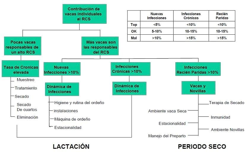 Gestión de la calidad de la leche - Image 5