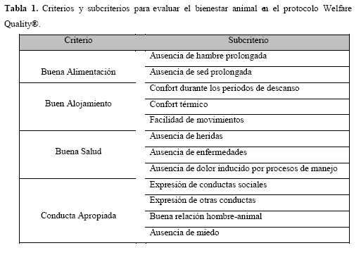 Valoración del Bienestar Animal del cerdo, Parámetros evaluados en el Matadero - Image 1