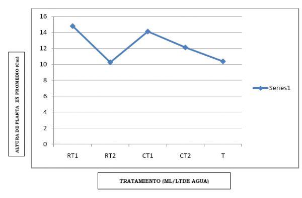 Eficacia de bioestimulante para inducir el Crecimiento y Desarrollo Radicular en Etapa de Vivero del Cultivo de Cacao bajo las condiciones del Valle Chancay (Perú) - Image 15