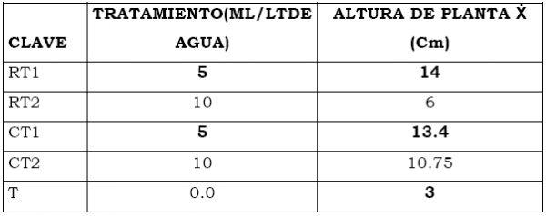 Eficacia de bioestimulante para inducir el Crecimiento y Desarrollo Radicular en Etapa de Vivero del Cultivo de Cacao bajo las condiciones del Valle Chancay (Perú) - Image 10