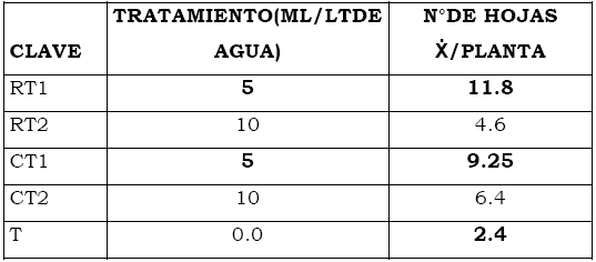 Eficacia de bioestimulante para inducir el Crecimiento y Desarrollo Radicular en Etapa de Vivero del Cultivo de Cacao bajo las condiciones del Valle Chancay (Perú) - Image 12