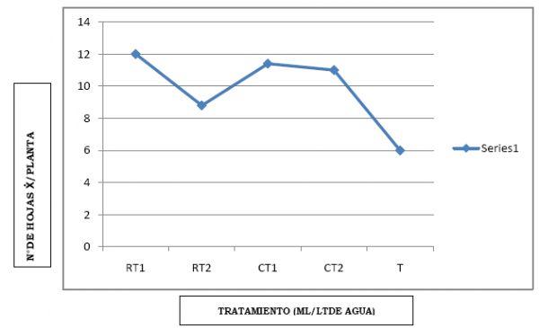 Eficacia de bioestimulante para inducir el Crecimiento y Desarrollo Radicular en Etapa de Vivero del Cultivo de Cacao bajo las condiciones del Valle Chancay (Perú) - Image 17