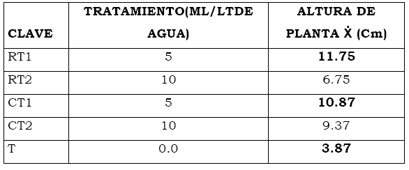 Eficacia de bioestimulante para inducir el Crecimiento y Desarrollo Radicular en Etapa de Vivero del Cultivo de Cacao bajo las condiciones del Valle Chancay (Perú) - Image 6