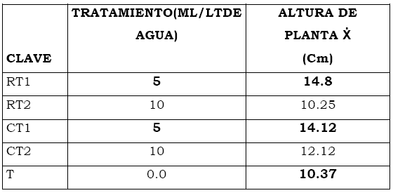 Eficacia de bioestimulante para inducir el Crecimiento y Desarrollo Radicular en Etapa de Vivero del Cultivo de Cacao bajo las condiciones del Valle Chancay (Perú) - Image 14