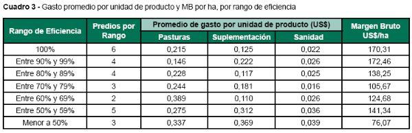 Eficiencia en la gestión productiva y económica en predios ganaderos invernadores - Image 8
