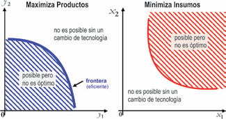 Eficiencia en la gestión productiva y económica en predios ganaderos invernadores - Image 2