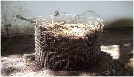 Compostaje de mortalidad, una alternativa tecnológica para el manejo integral de residuos en la producción cunícola - Image 2