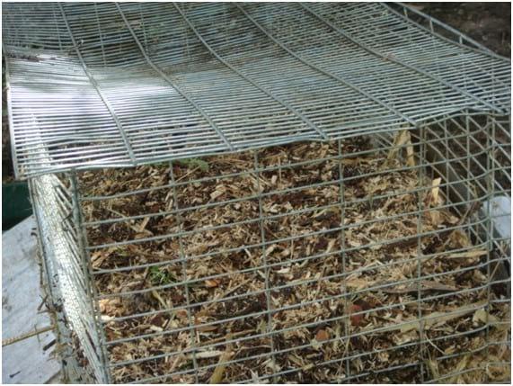 Compostaje de mortalidad, una alternativa tecnológica para el manejo integral de residuos en la producción cunícola - Image 16