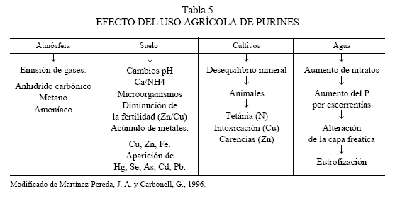 Elementos de Educación Ambiental en Veterinaria - Image 5