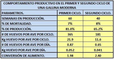 Muda forzada en Gallinas Productoras de Huevo para Plato (Pelecha) - Image 6