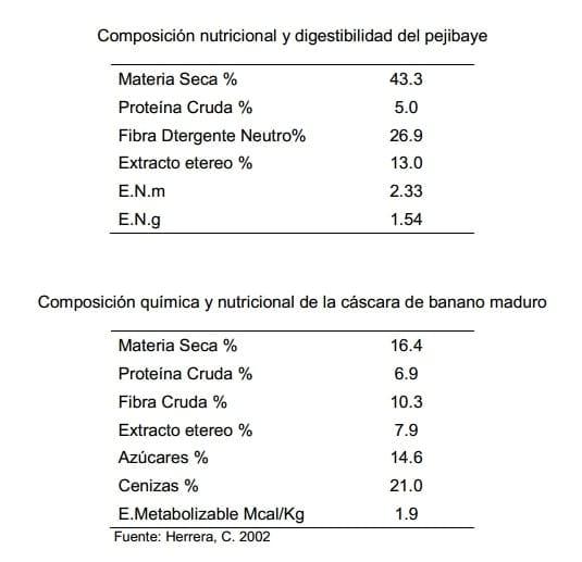 Experiencias con ganado estabulado utilizando pejibaye (Bactris gasipaes) y frutas tropicales en Costa Rica. - Image 10