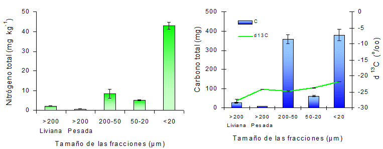 Fraccionamiento Granulométrico de Materia orgánica de suelos bajo Pastura, Labranza Convencional y Siembra Directa - Image 6