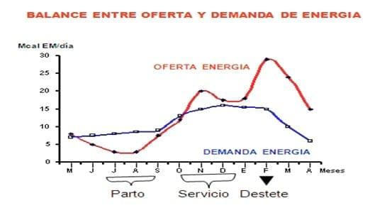 Los forrajes y la alimentación para intensificar la produccion de carne del norte argentino - Image 8