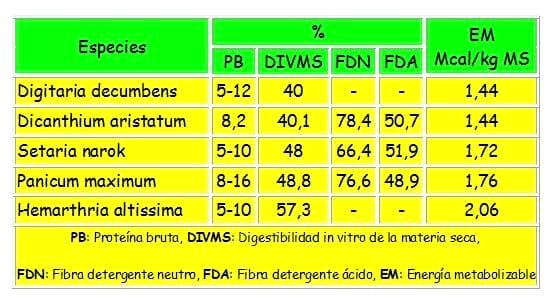 Los forrajes y la alimentación para intensificar la produccion de carne del norte argentino - Image 2