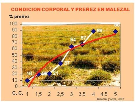 Los forrajes y la alimentación para intensificar la produccion de carne del norte argentino - Image 9