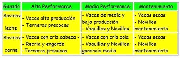 Los forrajes y la alimentación para intensificar la produccion de carne del norte argentino - Image 7