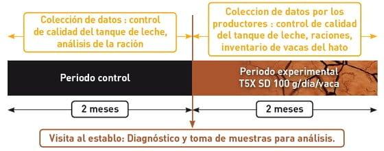 La eficiencia de T5X SD en el desempeño zootécnico de vacas lecheras enfrentando sospecha de problemas con micotoxinas - Image 1