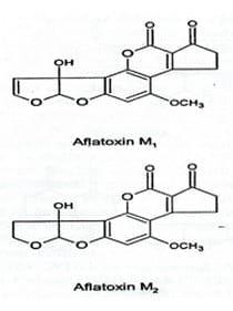 Efecto de micotoxinas sobre la reproducción de cerdas - Image 2