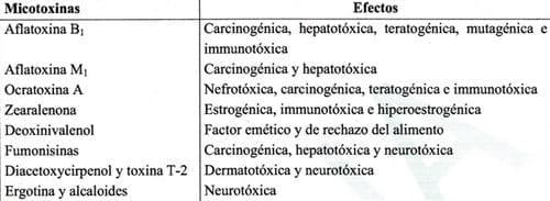 Efecto de micotoxinas sobre la reproducción de cerdas - Image 8