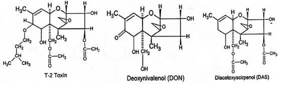 Efecto de micotoxinas sobre la reproducción de cerdas - Image 4