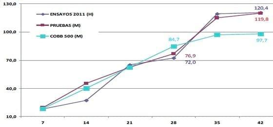 Evaluación del efecto del EOL 500 sobre los parámetros de eficiencia productiva en pollos de engorde - Image 8