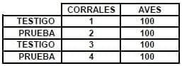 Evaluación del efecto del EOL 500 sobre los parámetros de eficiencia productiva en pollos de engorde - Image 1