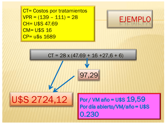 Valoración económica de las pérdidas por ineficiencia reproductiva. - Image 12