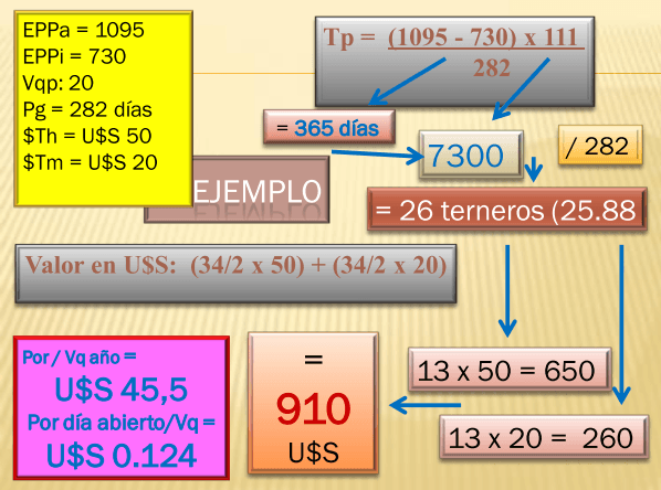 Valoración económica de las pérdidas por ineficiencia reproductiva. - Image 16