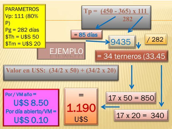Valoración económica de las pérdidas por ineficiencia reproductiva. - Image 6