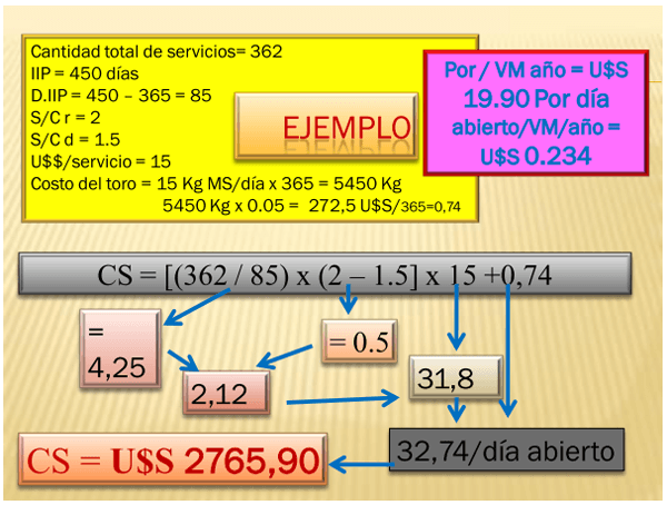 Valoración económica de las pérdidas por ineficiencia reproductiva. - Image 10