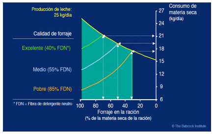 El silo de este año tiene poco grano, ¿qué hago para mejorarlo? - Image 6