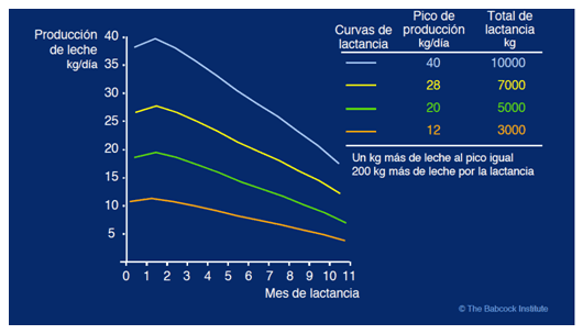 El silo de este año tiene poco grano, ¿qué hago para mejorarlo? - Image 9