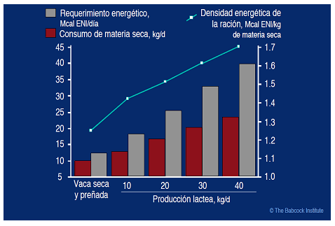 El silo de este año tiene poco grano, ¿qué hago para mejorarlo? - Image 8