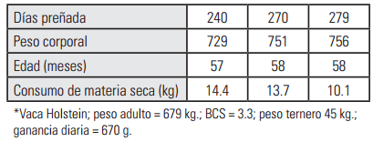 Alimentación de la vaca seca - Image 4