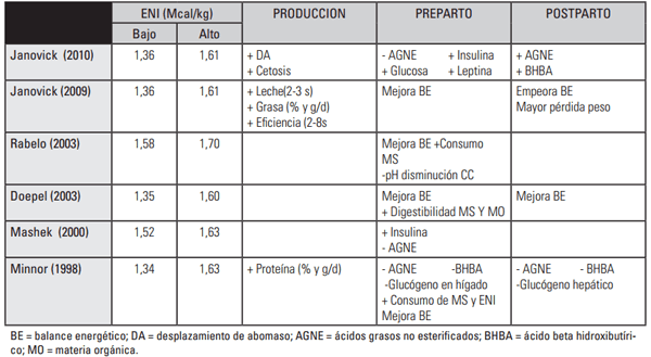 Alimentación de la vaca seca - Image 6
