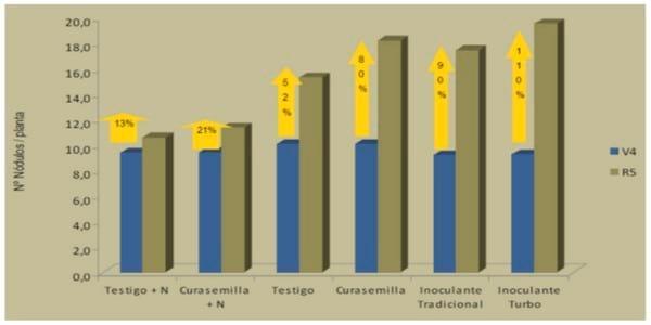 Evaluación de la inoculación con bacterias fijadoras de nitrógeno atmosférico y promotoras del crecimiento en soja - Image 5