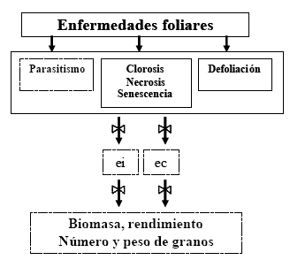 Enfermedades de fin de ciclo y roya asiática de la soja Un análisis de sus daños y el uso estratégico de fungicidas - Image 1