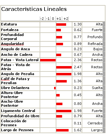 ¿Cómo elegir que Toros usar? Primera Parte - Image 6